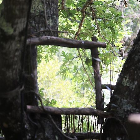 Origne  Les Landines B&B 외부 사진